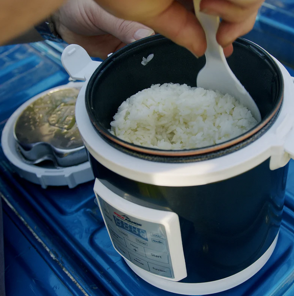 12-24V DC Black Rice Cooker – Rockarmor