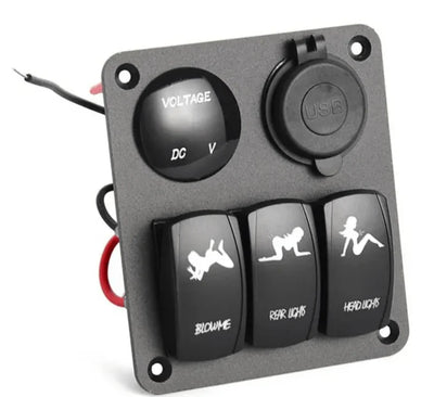 3 Gang Switch Panel lady pics