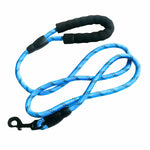 Dog Leash Blue